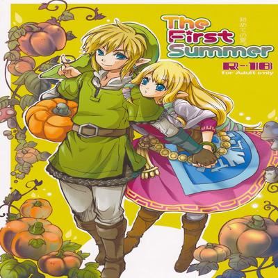 Legend of Zelda dj - The First Summer
