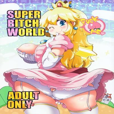 Super Mario dj - Super Bitch World