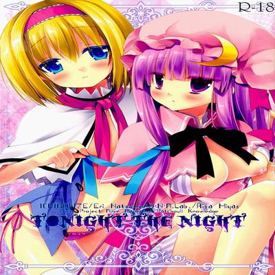 Touhou dj - Tonight The Night